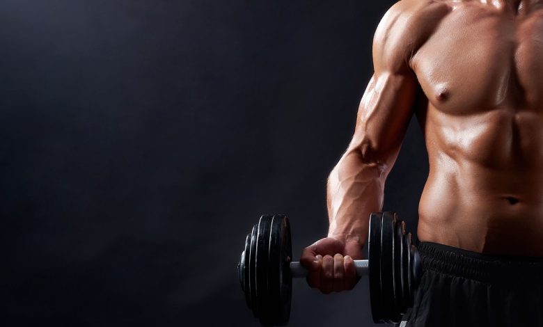 Como desenvolver seu tecido muscular?