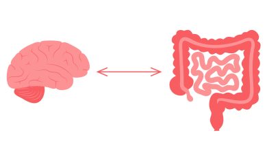 Você conhece a relação do eixo intestino-cérebro?