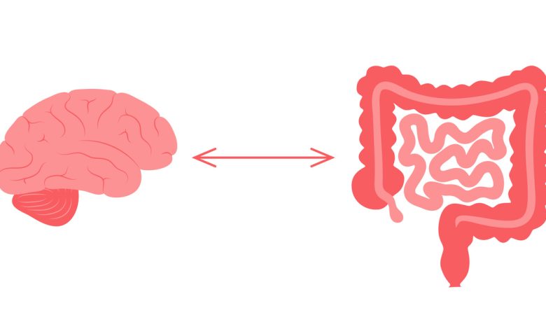 Você conhece a relação do eixo intestino-cérebro?
